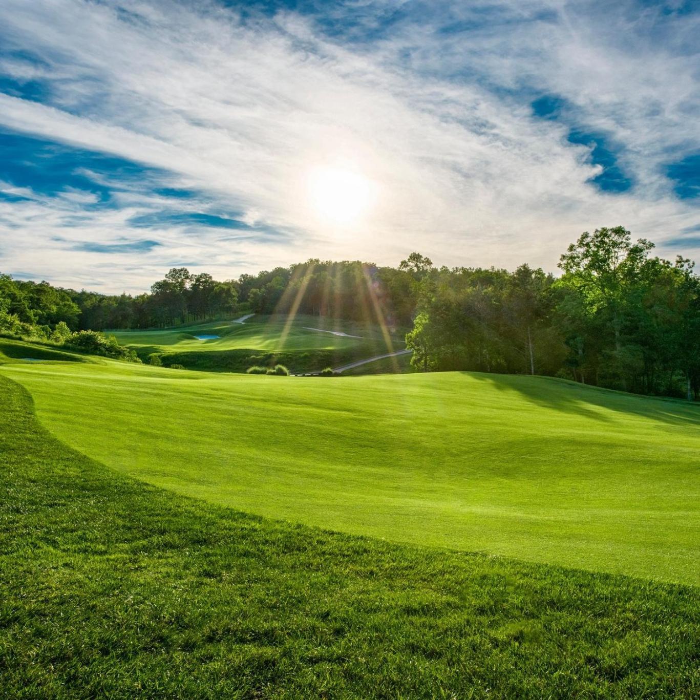 Personal Getaway. Golf Resort Gem. Great Location! Бренсон Екстер'єр фото